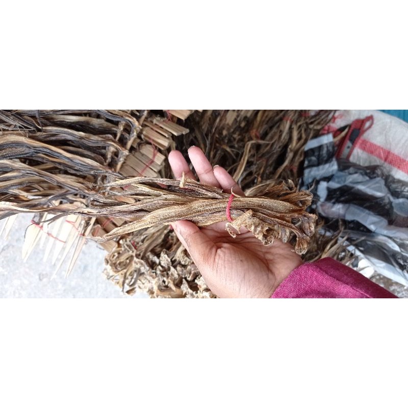 

PROMO BELUT KERING (DAPAT 2 IKAT)