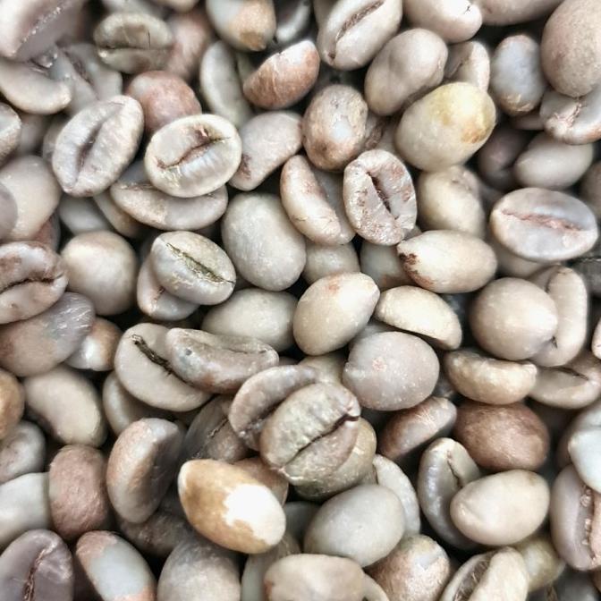 =====] Kopi Robusta - Robusta Dampit - Green Bean