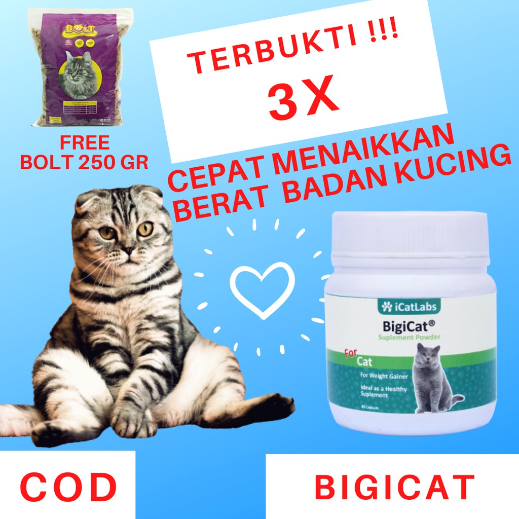 Bigicat Obat Suplemen Vitamin Nutrisi Penggemuk Kucing Kurus Dewasa Dan