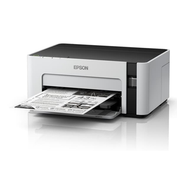 Printer EPSON M1100