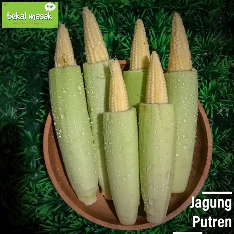 

Jagung Putren