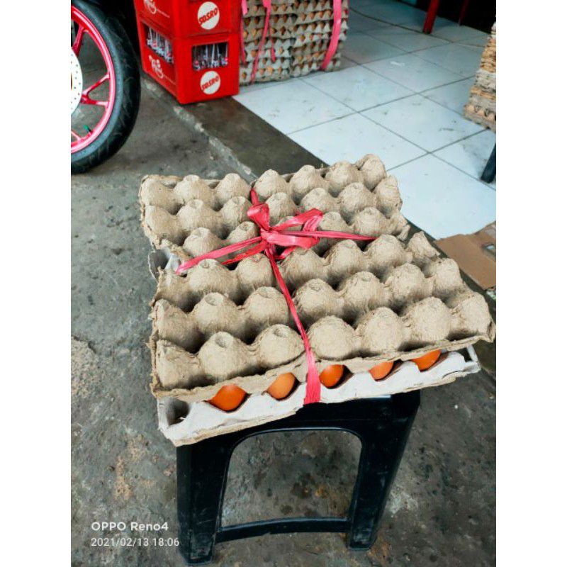 

Telur