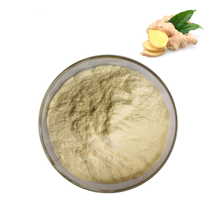 

GINGER JUICE POWDER BUBUK 50GR