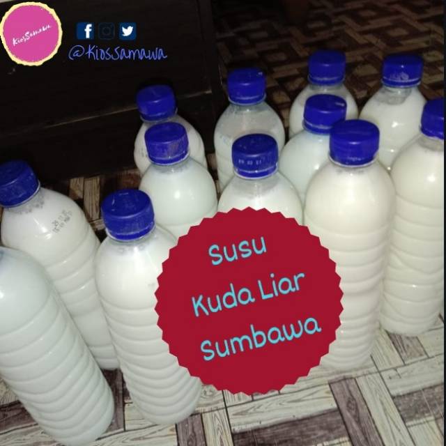 

Susu Kuda Liar Sumbawa Asli