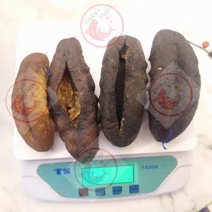 

Hai sim / Teripang / Timun Laut Susu Kering Besar Grade A 1 Kg