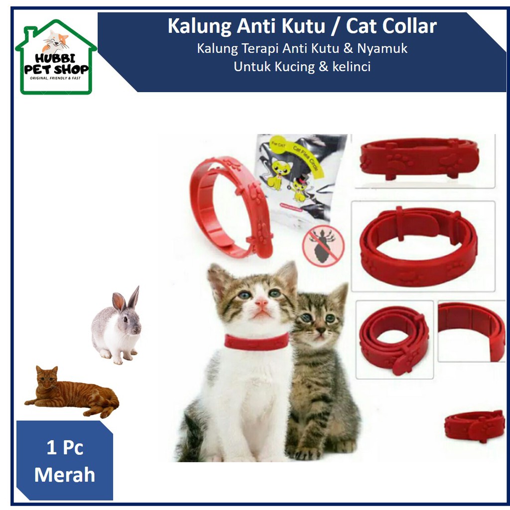 KALUNG KUCING ANTI KUTU / KALUNG ANTI FLEA TICK /KALUNG ANTI KUTU KUCING