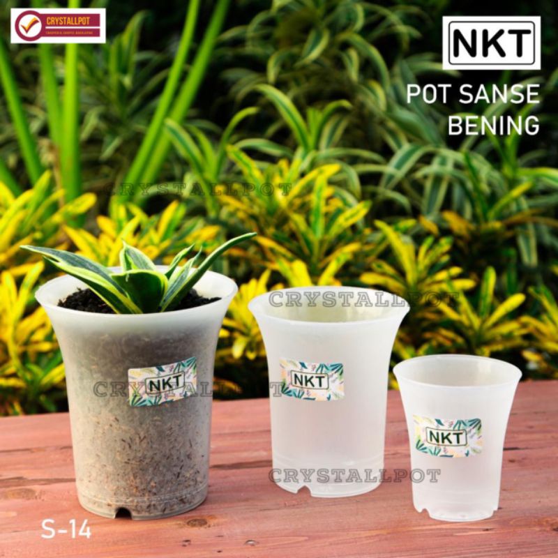 pot bunga tanaman nkt sanse 14 BENING TRANSPARAN - NKT SANSE 14 BENING