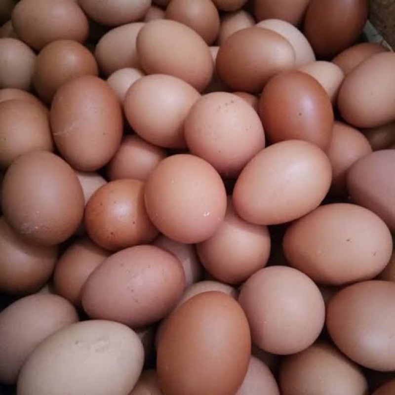 

Telur Ayam Negri 10 Butir