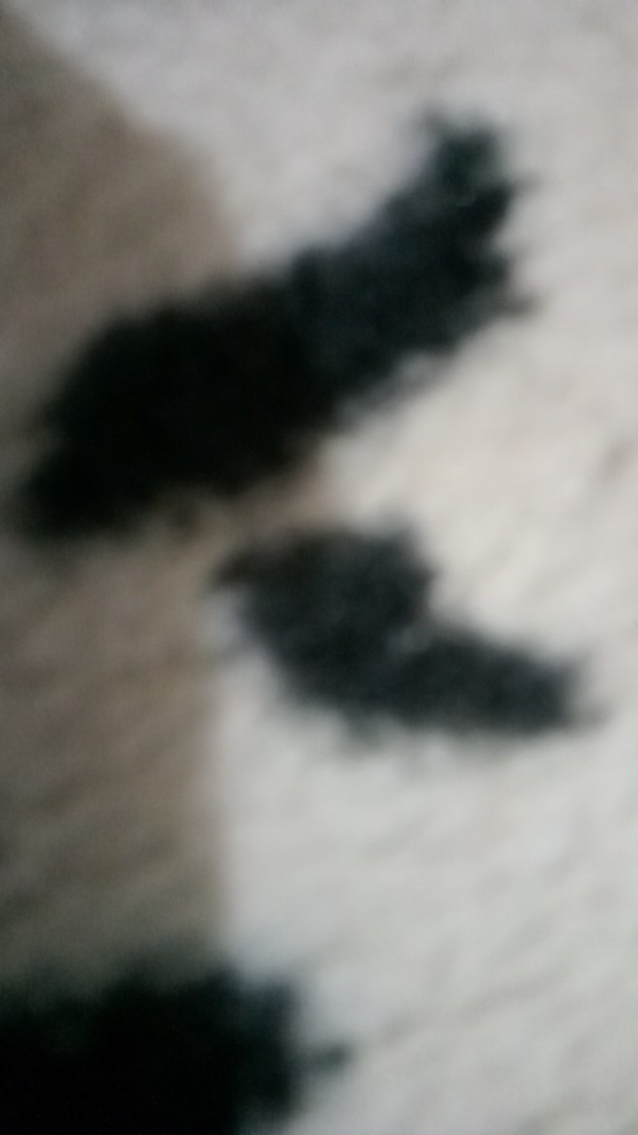 Teapot / Teko Set Gelas Bahan Kaca + Penyaringan / 5 In 1 / Dapat 1 Teko Dan 4 Gelas (perabotan)