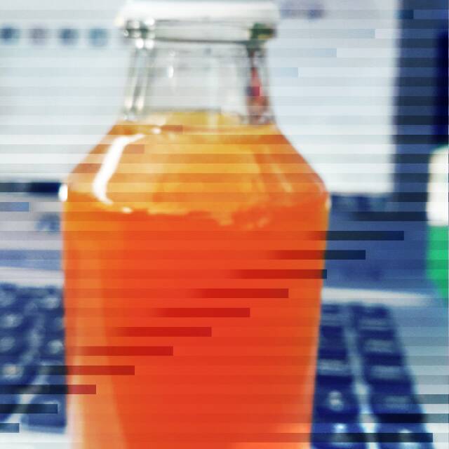 

Madu Asli Lebah Liar