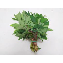 

Sayur Daun Singkong/Ubi 1 Ikat