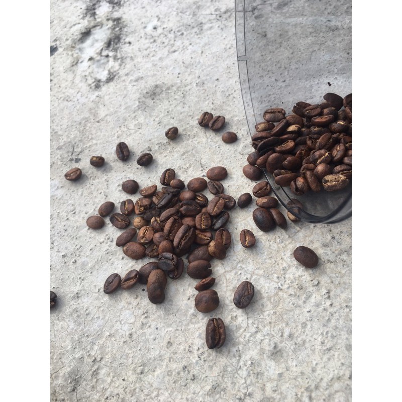 

Kopi arabika