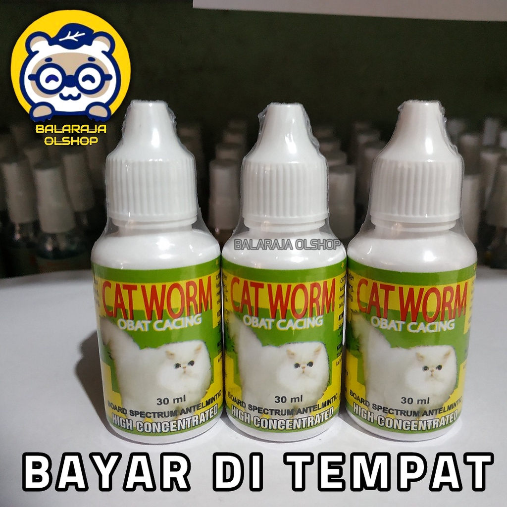 OBAT KUCING/KITTEN CACINGAN AMPUH MEMBASMI CACING PADA KUCING - CATWORM