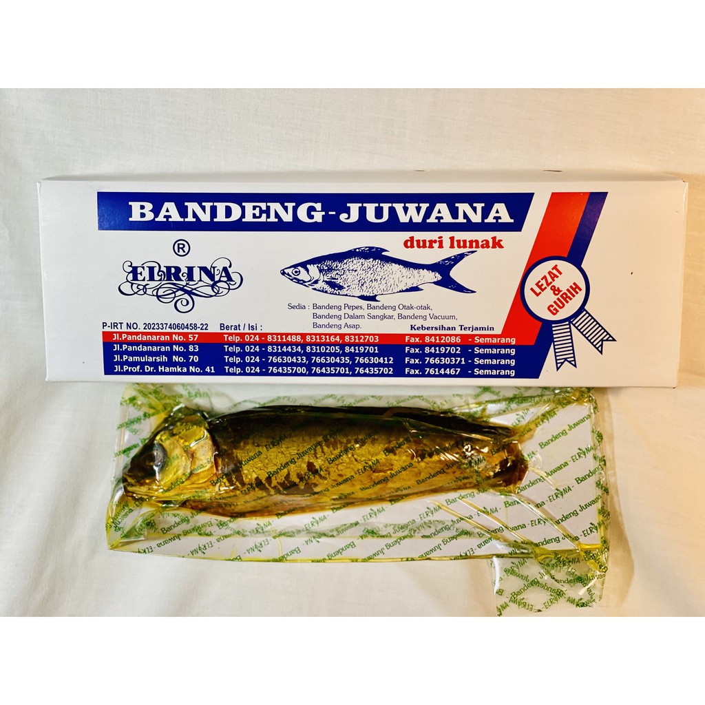 

Bandeng Juwana Elrina Bandeng Otak2 (2ekor) (tahan 3 hari)