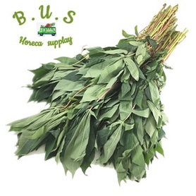 

Daun Singkong 1kg B.U.S