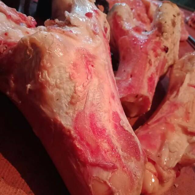 

Tulang sum² sapi 2000kg