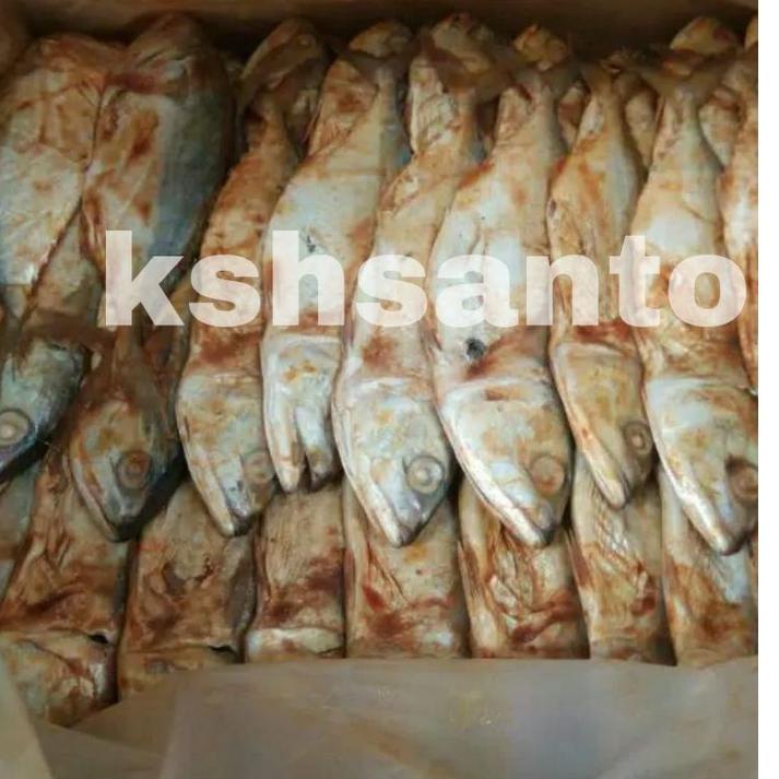 

Model Baru.. Ikan asin peda merah-500gram CE9