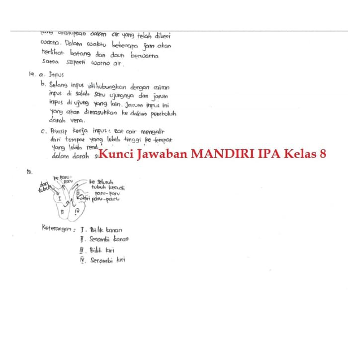 Nn Paket Buku Mandiri Erlangga Kelas 8 Ipa Matematika Kunci Jawaban Shopee Indonesia