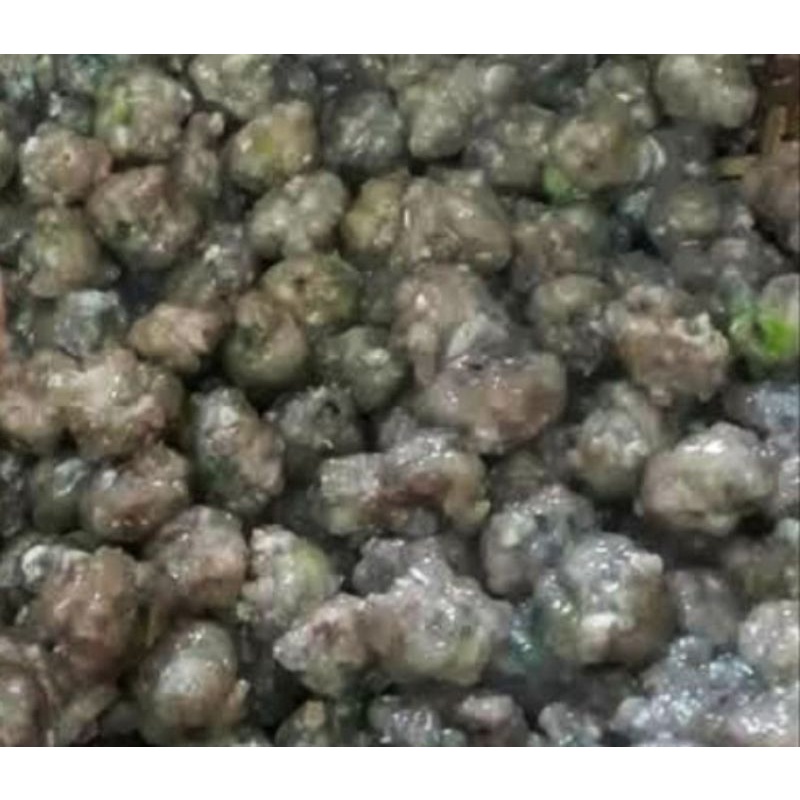 

baso aci tulang rangu isi 20 butir BACA DESKRISPI