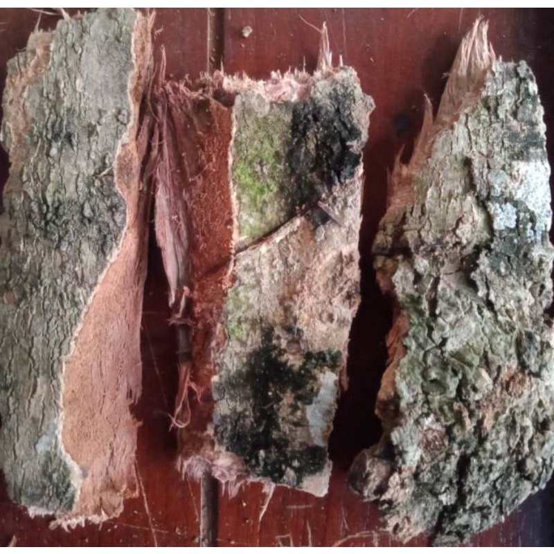 

OBAT DIABETES HERBAL ALAMI 1KG KULIT KAYU POHON DUWET JAMBLANG