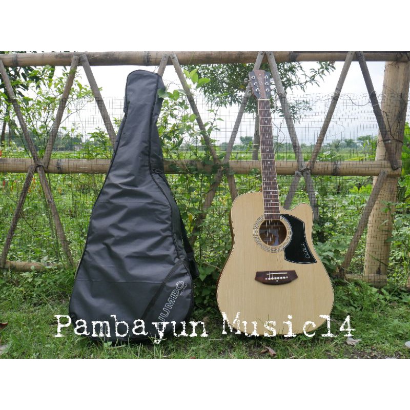 GITAR AKUSTIK COLE CLARK Custom GRATIS PACKING KAYU