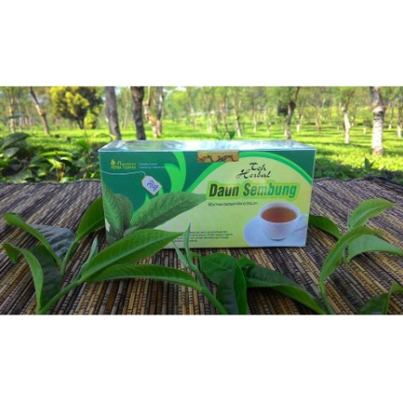 

Obat Lambung Ginjal Teh Daun Sembung Herbal Tazakka isi 20 Kantung Teh Celup HALAL BPOM resmi