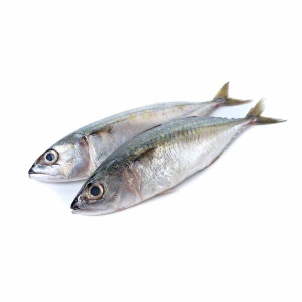 

Ikan Kembung Segar 500gram
