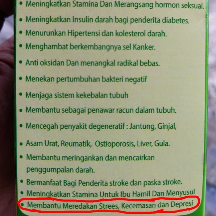 Herbal Dzat Obat Anxiety Gerd Hipertensi Kolesterol Indonesia