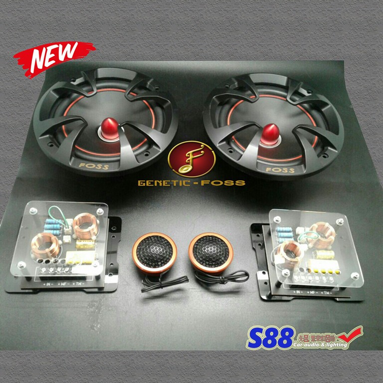 Foss FS1 Rhodium 2-Way Split Component Speaker