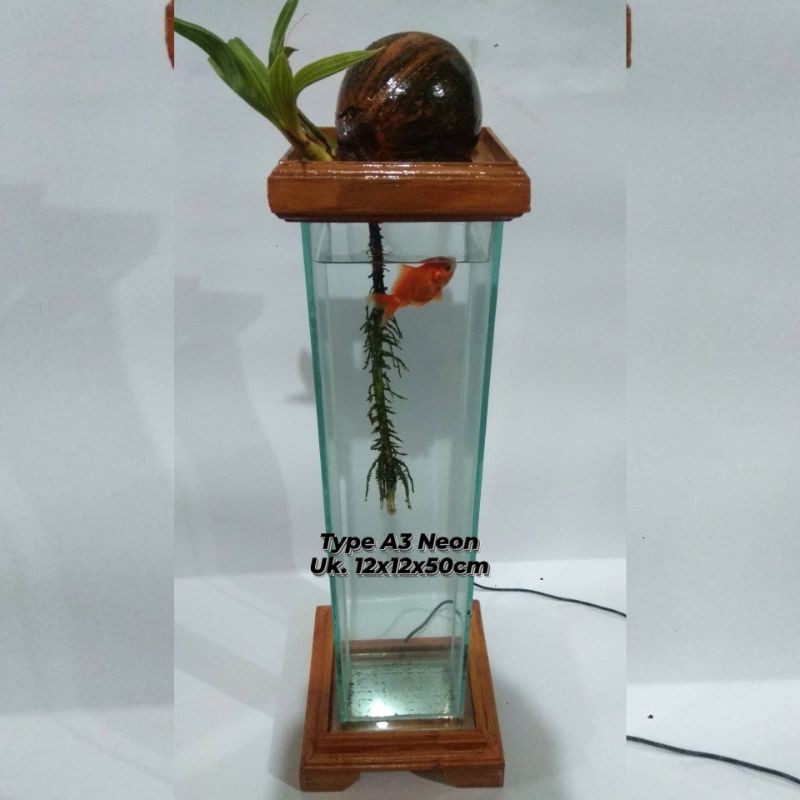 Aquarium bonsai kelapa TYPE A3 NEON