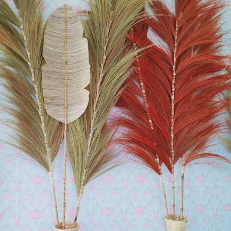 

bunga kering besar rustic photoshot