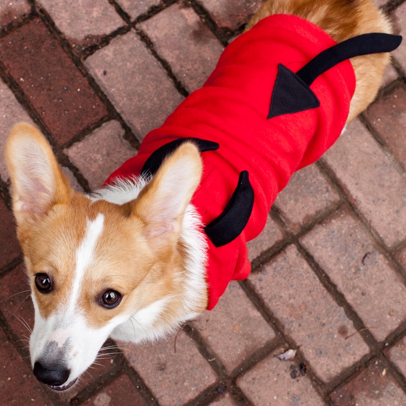 ★〓YUFeiPet〓★ Halloween Pet Transformation Costume Dog Fall Winter Warm Clothes Pet Little Devil Party Costume