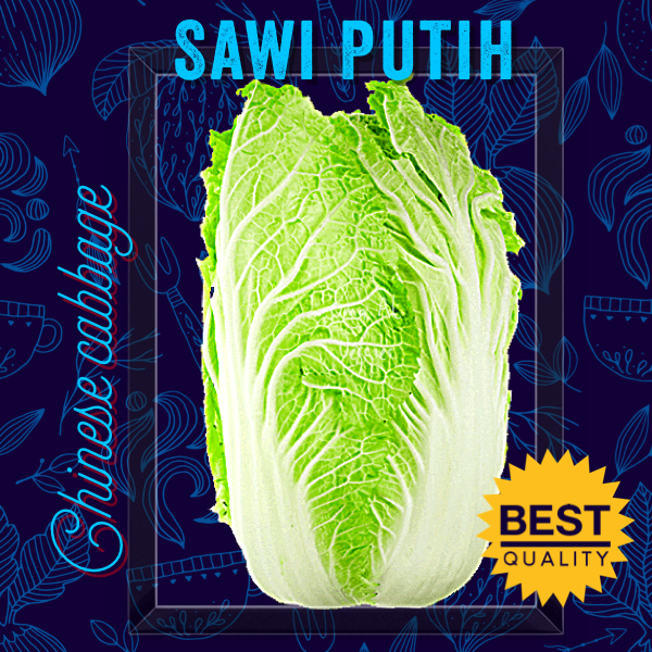 

SAWI PUTIH/ CHINESE CABBAGE Per 500 gram SAYURAN SEGAR