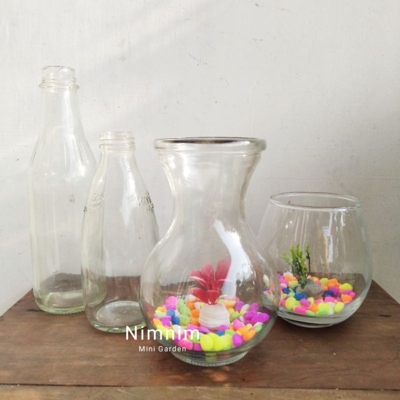 Paket Soliter tank Botol cupang Aquarium mini