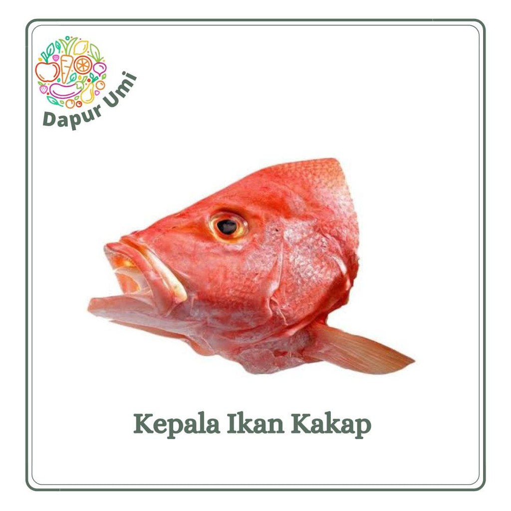

KEPALA KAKAP - IKAN SEGAR PURWAKARTA