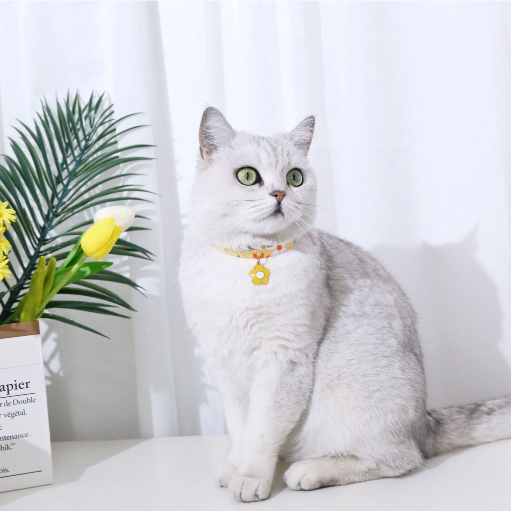 Kalung Leher Anjing / Kucing Adjustable Dengan Liontin Bunga Matahari Sun Flower