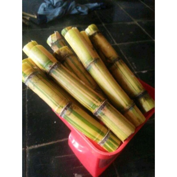 

Tebu kuning 1kg