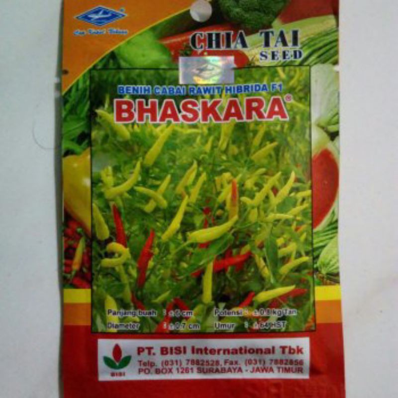 benih cabai rawit hibrida f1 umur pendek genjah bhaskara