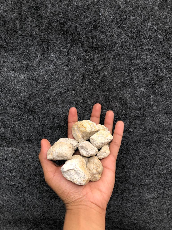Pumice besar /1kg dasar pot