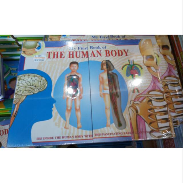 The human body