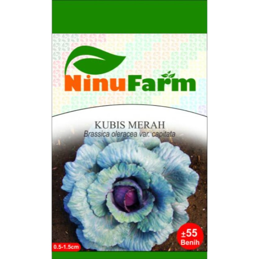 BIBIT KUBIS MERAH / KUBIS MERAH / NINUFARM / KEMASAN ASLI PABRIK