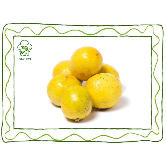 

Jeruk Lemon Lokal