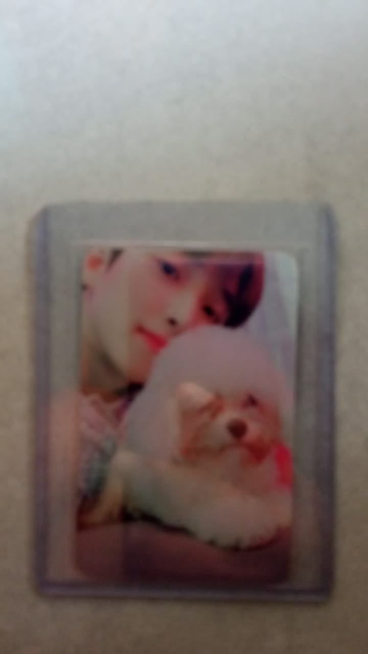 Toploader Ultrapro (hanya Untuk Tambahan Packing)