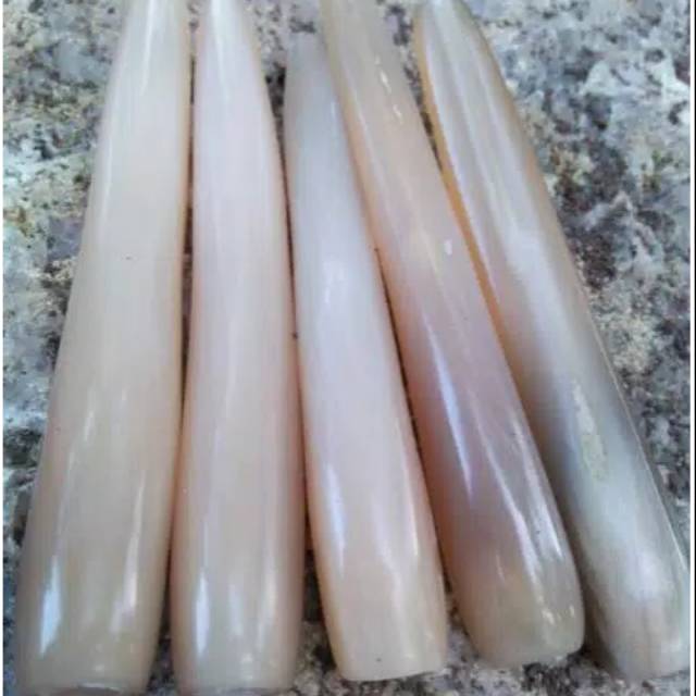 Once Pipa Rokok Tanduk Kerbau Bule Asli