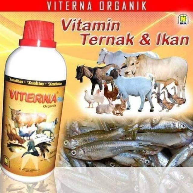 Viterna vitamin Ternak VITERNA (VITAMIN TERNAK NASA)