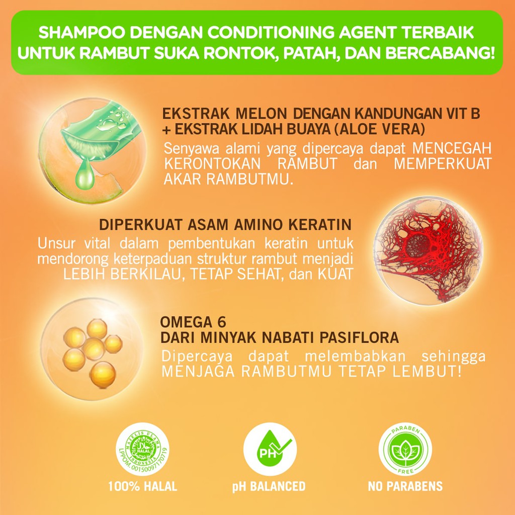 PAKET ISI 2 - Makarizo Hair Energy Fibertherapy Conditioning Shampoo Aloe & Melon 170mL-2
