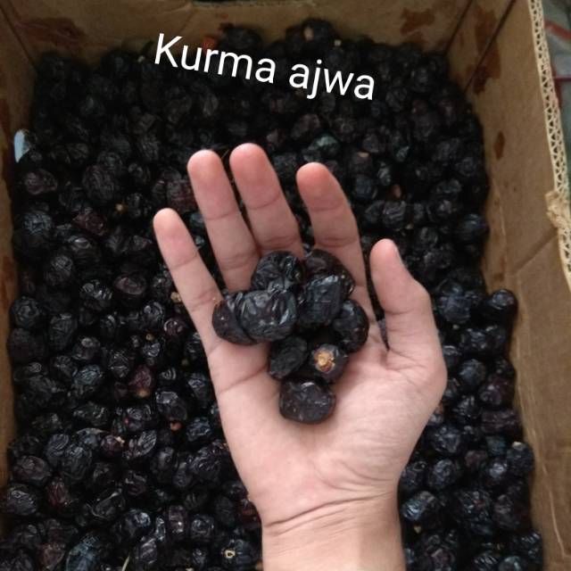 

KURMA AJWA (Kurma Nabi)