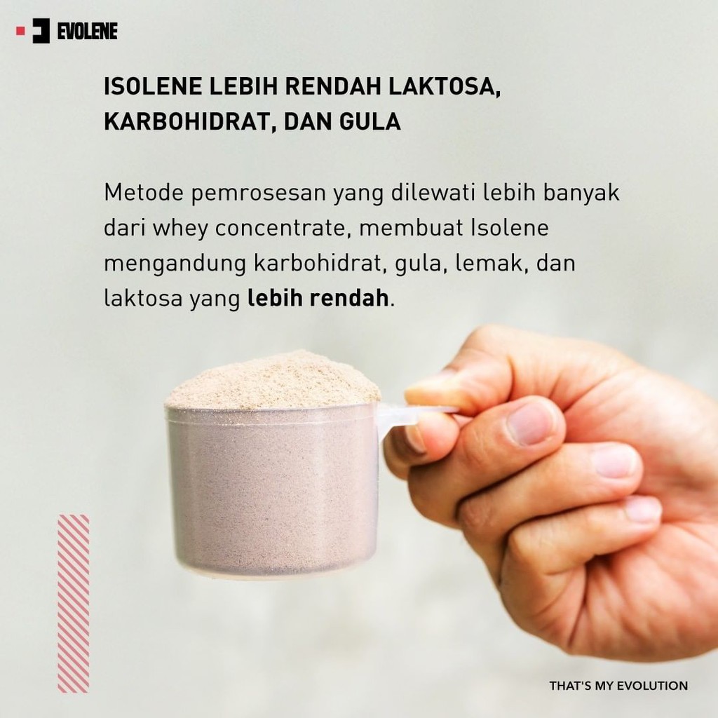 Isolene Coklat 396gr/12 Sachet Kualitas Premium - Suplemen fitness pembentuk Otot - Defisit kalori - Susu Protein - Suplemen Fitness - Minuman Protein - Suplemen Workout - Whey protein isolate Evolene Evoline Evolen