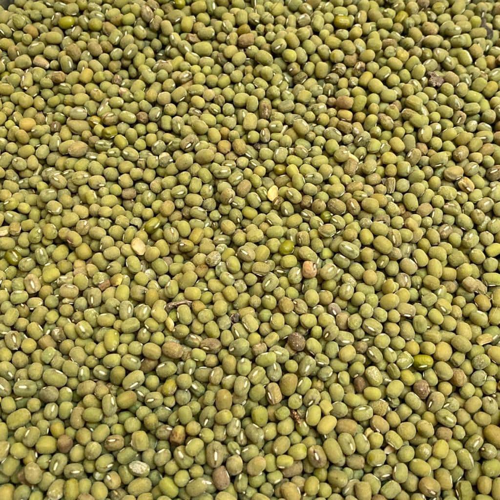 

KACANG HIJAU (250 GRAM)