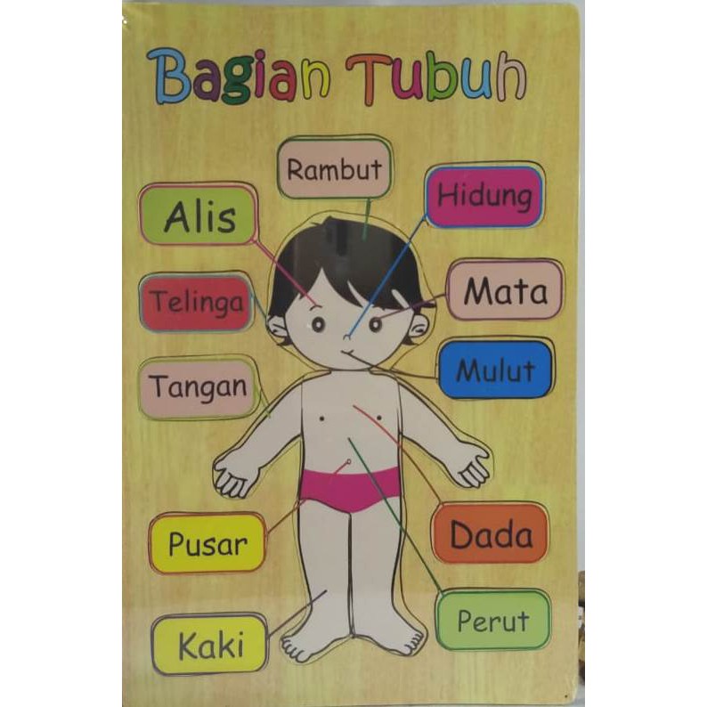 PUZZLE KAYU / MAINAN EDUKASI / PUZZLE GAMBAR BAGIAN TUBUH BAHAN KAYU. Riens Collections